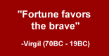 QuoteBox: Fortune favors the brave. - Virgil, 70 BC to 19 BC